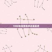 1998年是苦命虎还是富虎 1998属虎城墙土命运