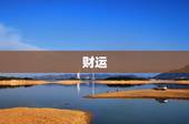 92年猴今年运势怎样(猴年大吉财运亨通事业顺利)
