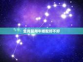 生肖鼠与牛婚配好不好，属牛的和属鼠的属相合吗？为什么？