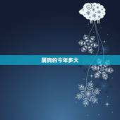 属狗的今年多大，属狗的和什么属相更好