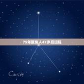 75年属兔人47岁后运程 生肖兔2022年运势及运程