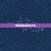 属相老鼠和狗合不合，属相狗跟鼠相配吗
