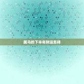 属马的下半年财运怎样，属马今年财运怎样