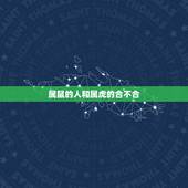 属鼠的人和属虎的合不合，属虎和哪个属相相克