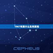 1967年属什么生肖属相，1967年是属于什么生肖的