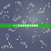 十二生肖是东肖还是属相，打仗的生肖12生肖哪些是东肖