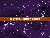300个吉祥公司名字大全有哪些，我想注册一个小公司起什么名字好？