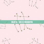狗虎马一家三口属相好吗，一家三口一个属相都属马好不好？