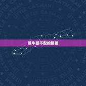 属牛最不配的属相，属牛的人跟属龙的人配不配