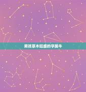 男孩草木旺盛的字属牛，男孩名字属牛有哪些？