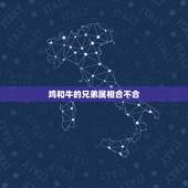 鸡和牛的兄弟属相合不合，属鸡的与属牛的合不合财