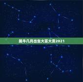 属牛几月出生大富大贵2021，牛几月份出生最好2021