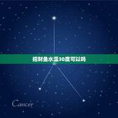 招财鱼水温30度可以吗，养招财鱼水温控制在多少
