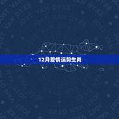 12月爱情运势生肖