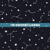 1991年属羊的做什么生意最旺，1991属羊的做生意去什么方向好