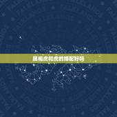 属相虎和虎的婚配好吗，属虎的和属虎的可以配对吗