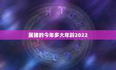 属猪的今年多大年龄2022，2035年属猪的多大