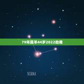 79年属羊44岁2022劫难，79年属羊42岁有桃花运