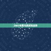 2002年属马男孩的运势，02年属马一生的大劫