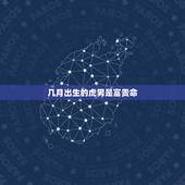 几月出生的虎男是富贵命，74属虎人出生月的命运