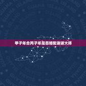 甲子年合丙子年是否婚配谢谢大师，恳请大师们批一下:甲子年丙子月丁酉日癸