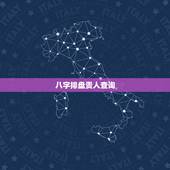 八字排盘贵人查询，免费四柱八字排盘详解