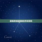 属相虎和鼠能做合作伙伴吗，属虎的和属鼠的能一起工作吗？