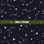 属猴人今年运程，1980年属猴今年运气