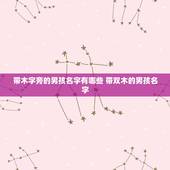 带木字旁的男孩名字有哪些 带双木的男孩名字