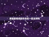 婆媳属相虎和牛住在一起主财吗，属牛与属虎合财吗