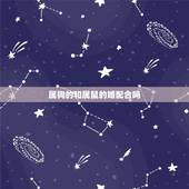 属狗的和属鼠的婚配合吗，属狗的能不能和属鼠的结婚
