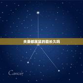 夫妻都属鼠的能长久吗，夫妻都属鼠的一五年运气如何