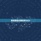 属龙微信头像旺财2023，1976年属龙的人微信头像什么样的好