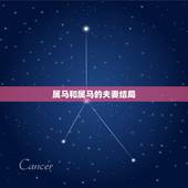 属马和属马的夫妻结局，属马戴金还是戴银好