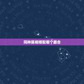 同种属相婚配哪个最合，属相属狗的婚配什么属相最好