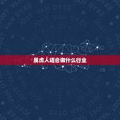 属虎人适合做什么行业，请高人指点62年属虎人最适合做什么行业？