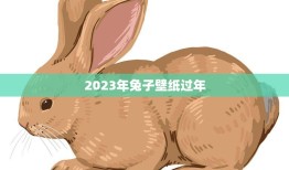 2023年兔子壁纸过年(欢乐迎新春)