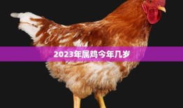 2023年属鸡今年几岁(你的年龄将迎来属相轮回的新篇章)