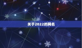 关于2022的网名，2022年网名