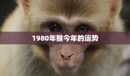 1980年猴今年的运势(猴年大吉财运亨通)