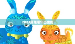 2023属兔哪年出生的(兔年宝宝的性格特点及命运分析)