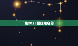 兔2023最旺姓名男(揭晓这些名字最有潜力)
