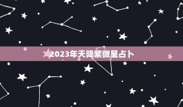 2023年天降紫微星占卜，2023世界巨星紫微星