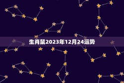 生肖鼠2023年12月24运势(幸运之星高照)