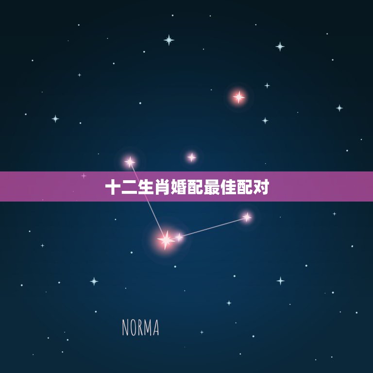 十二生肖婚配最佳配对，和属什么生肖婚配最好  第1张