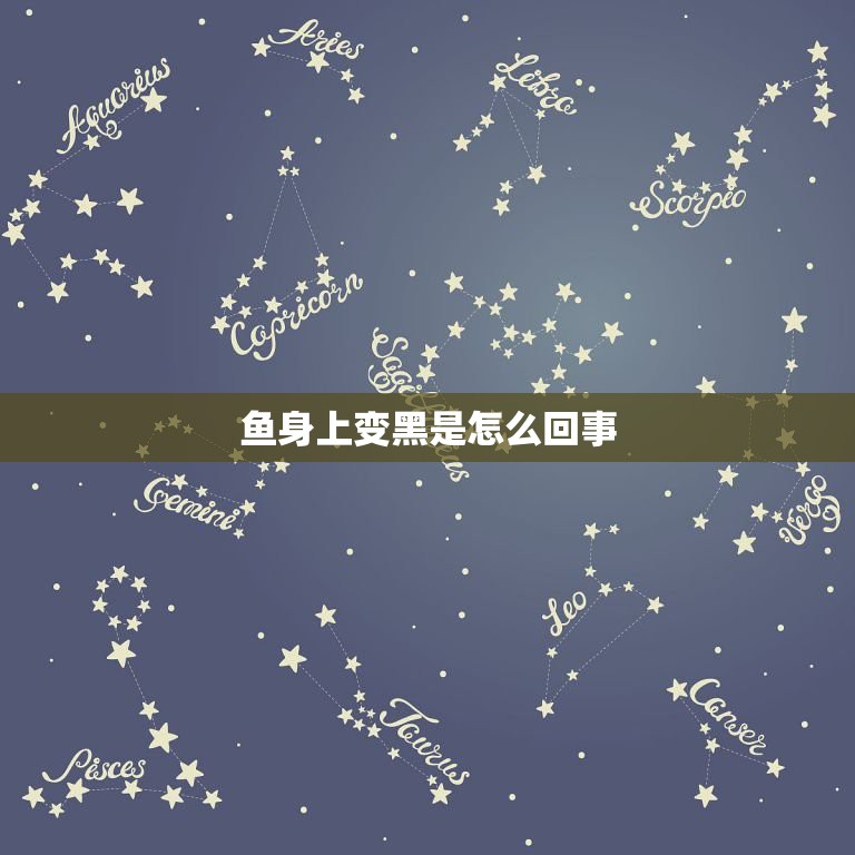 鱼身上变黑是怎么回事，金鱼身体变黑为什么会死？  第1张