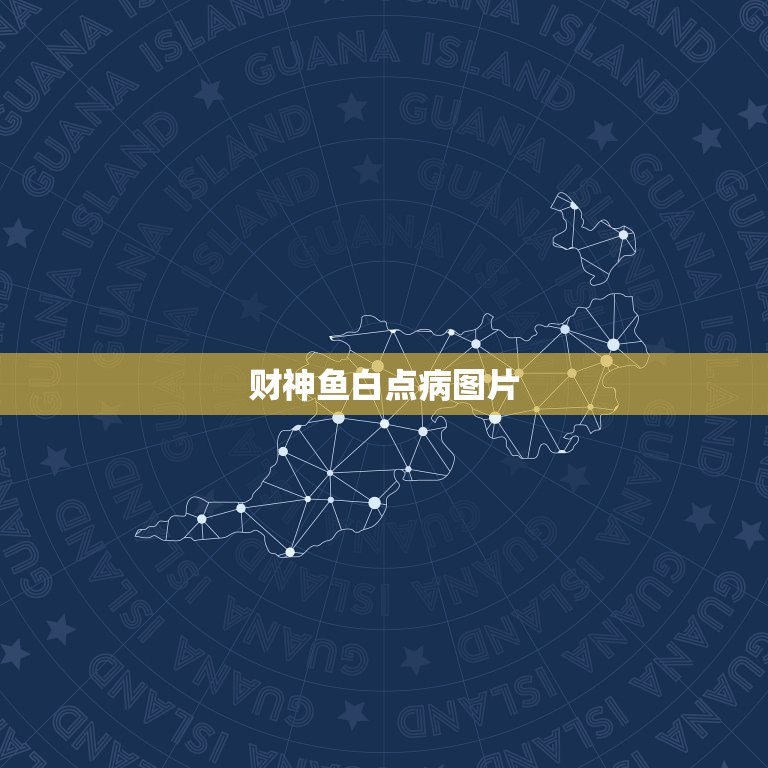 财神鱼白点病图片，财神鱼全身出现白毛  第1张
