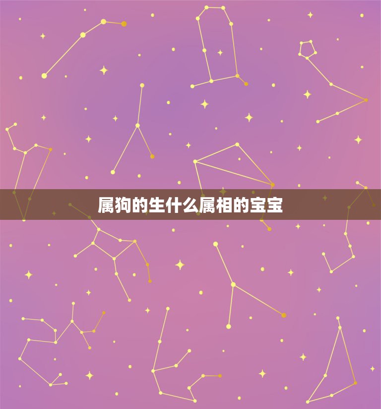属狗的生什么属相的宝宝，女的属狗的和什么属相最合适  第1张