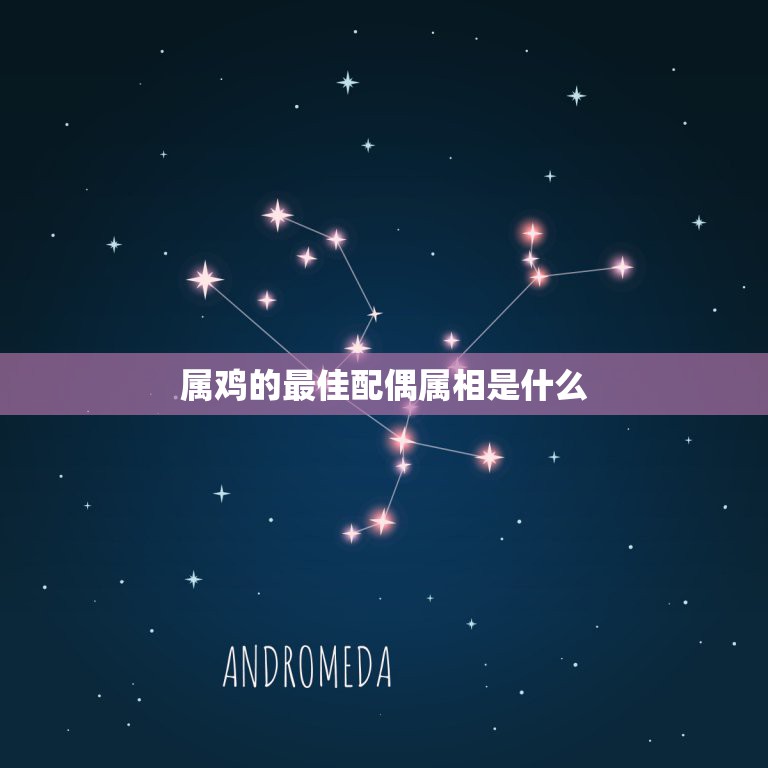 属鸡的最佳配偶属相是什么，属兔的最佳配偶属相  第1张