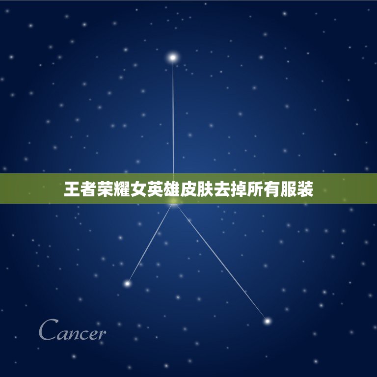 王者荣耀女英雄皮肤去掉所有服装，王者荣耀去掉所有服装  第1张